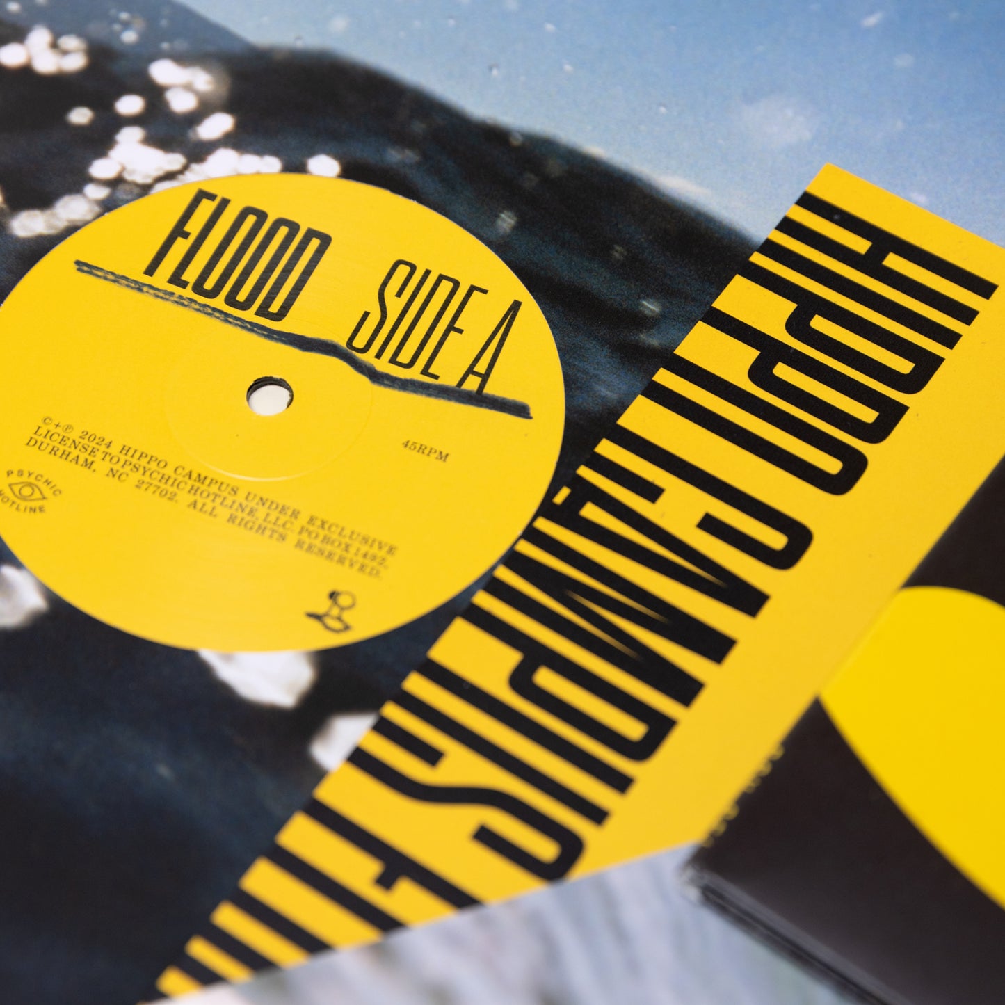 Flood Vinyl 2xLP