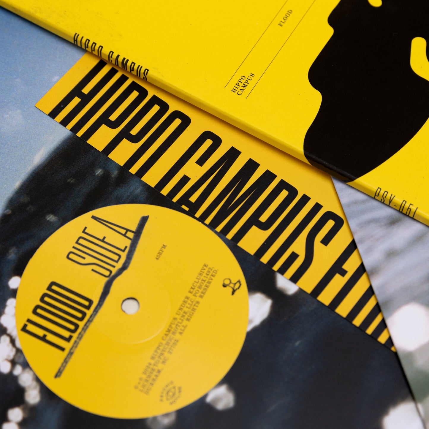 Flood Vinyl 2xLP