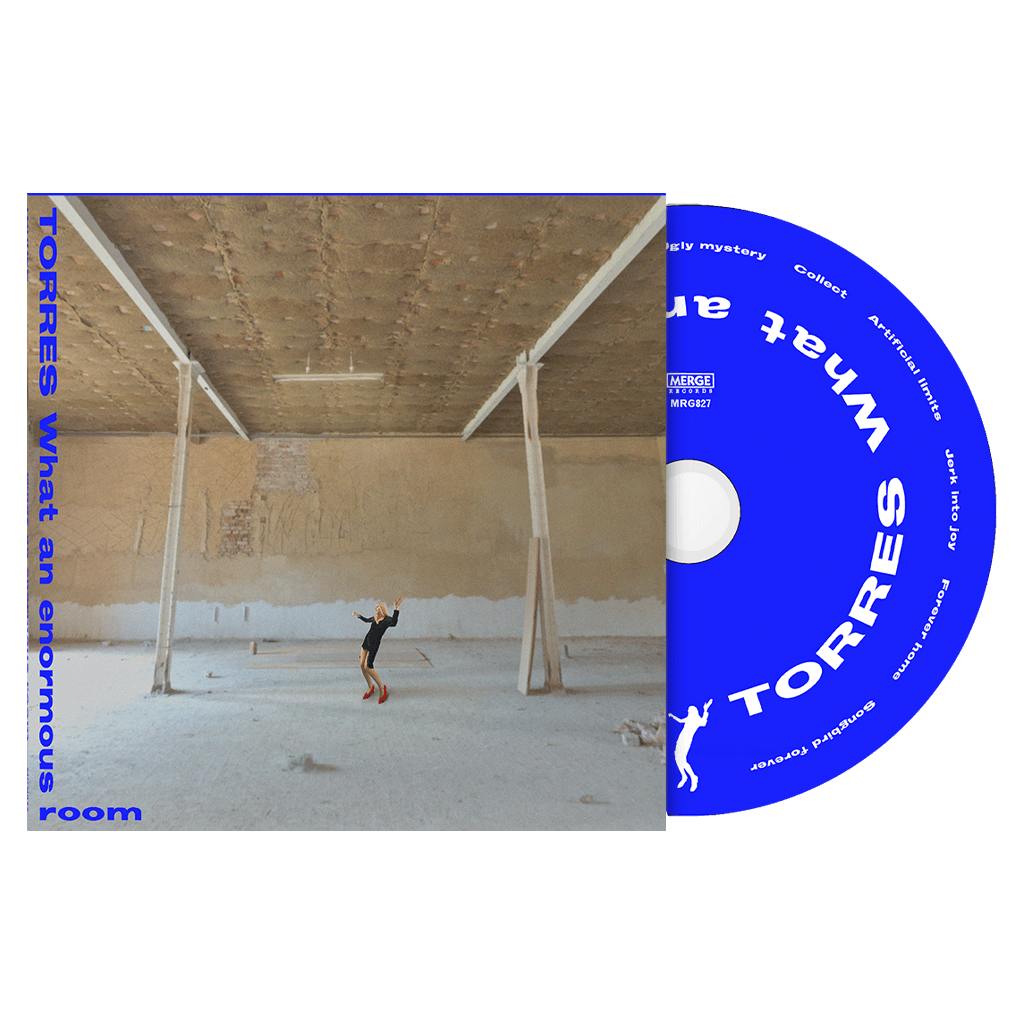What An Enormous Room Album