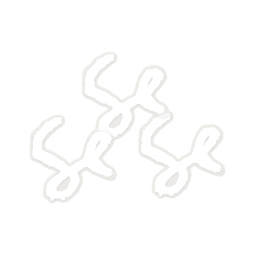 SE Sticker
