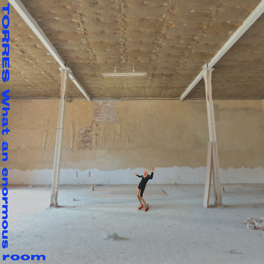 What An Enormous Room Album
