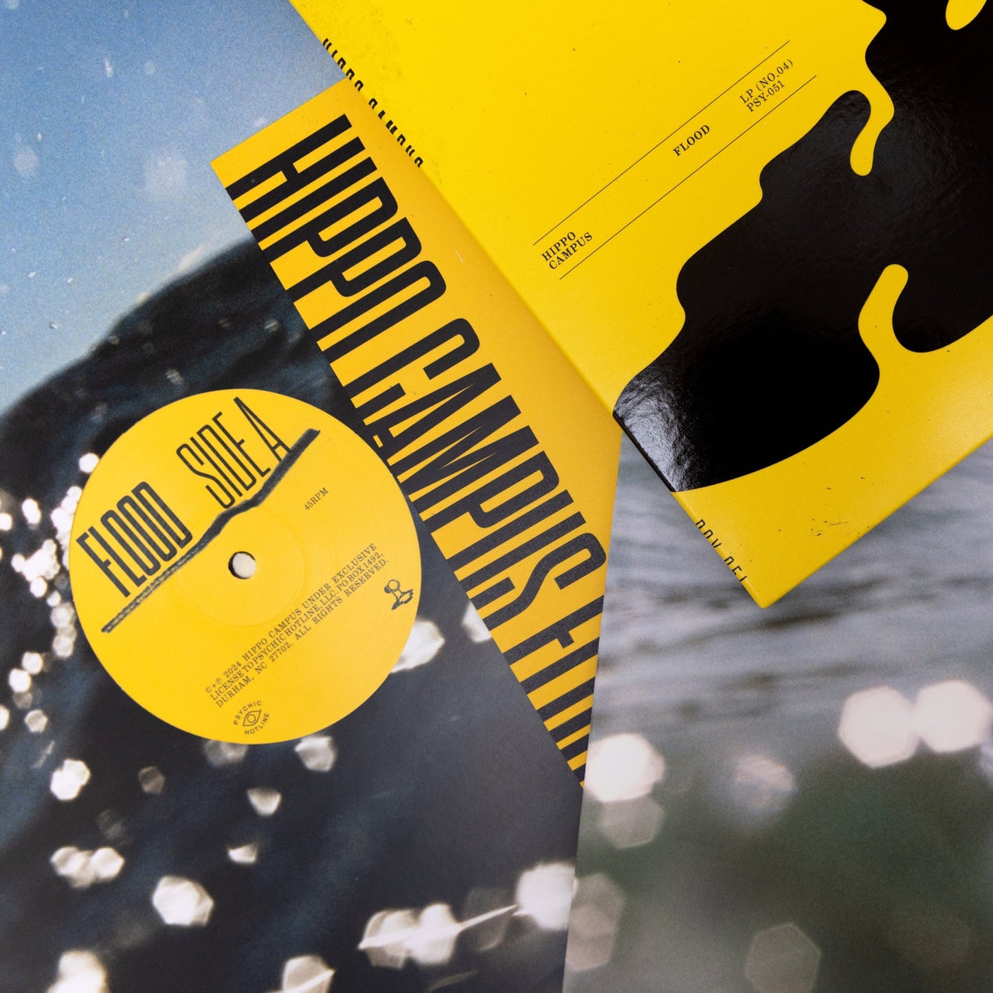 Flood (Spotify Fans First) Vinyl 2xLP (SIGNED ANNIVERSARY EDITION)