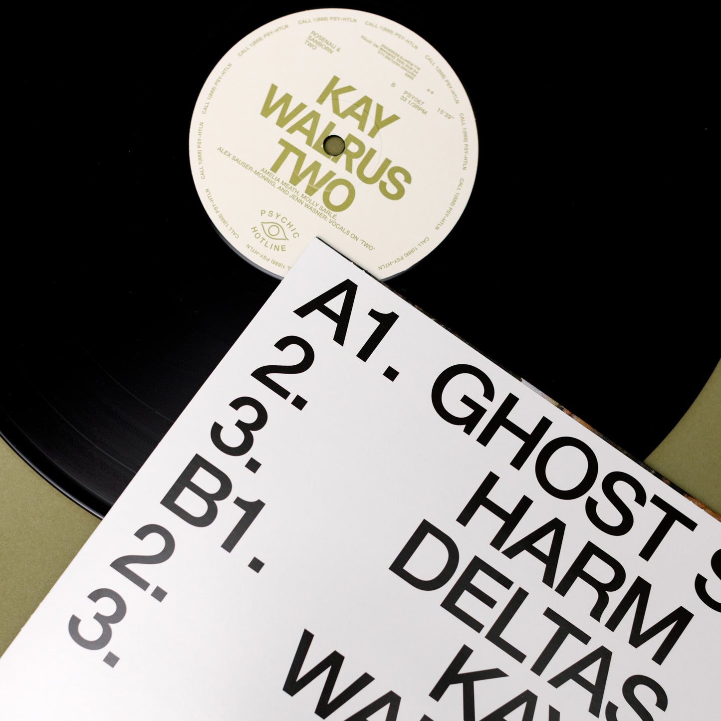 Two Vinyl LP