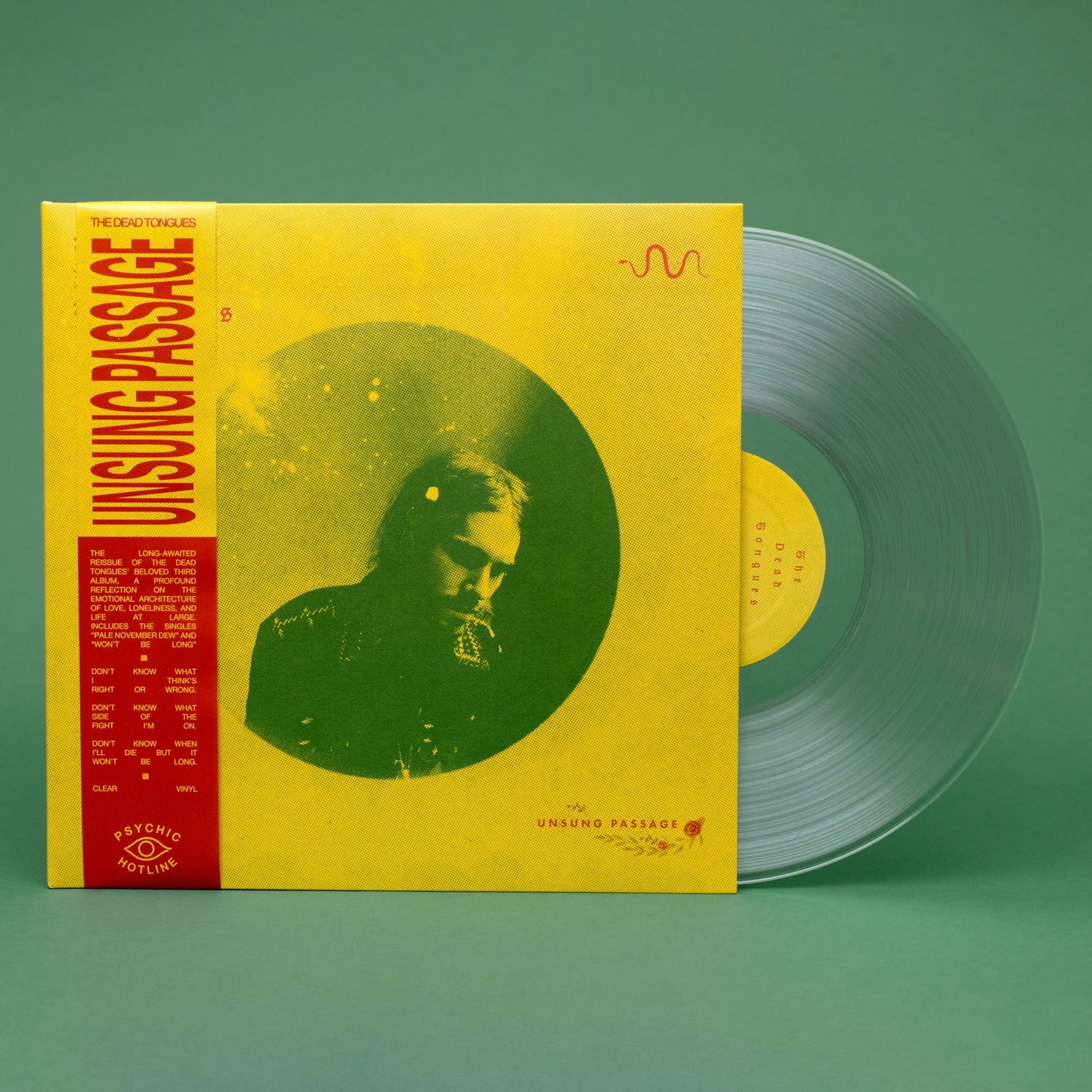Unsung Passage (Clear) Vinyl LP