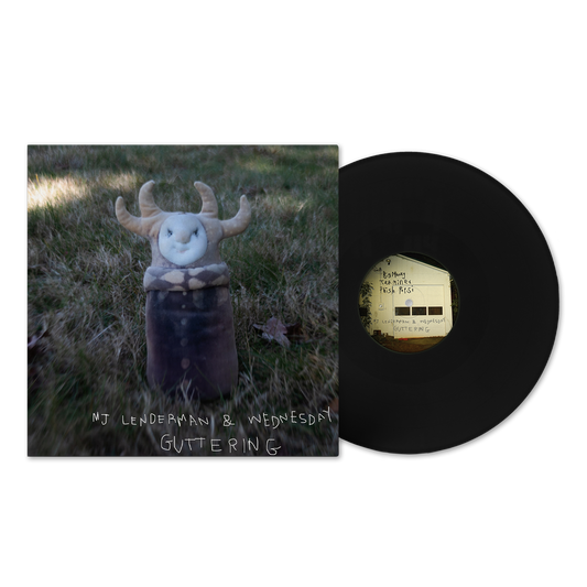MJ Lenderman & Wednesday Guttering (Black) Vinyl LP