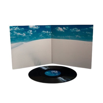 The Louder I Call, The Faster It Runs Vinyl LP