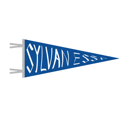 Logo Type Pennant