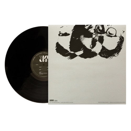 Every Day Like The Last Vinyl LP