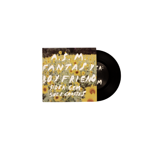A.S.M. Fantasy Boyfriend Vinyl 7"