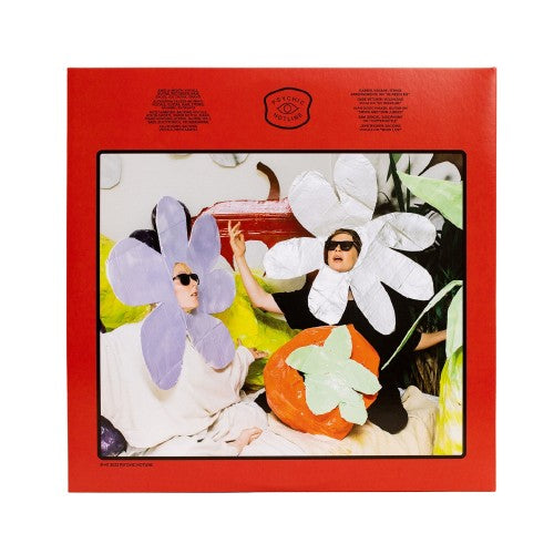 Fruit Vinyl LP
